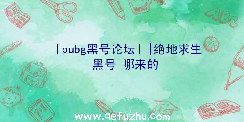 「pubg黑号论坛」|绝地求生